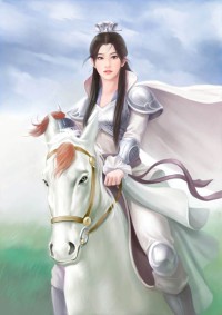《极品上门女婿》