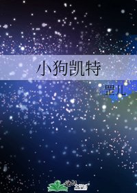 《小狗凯特》