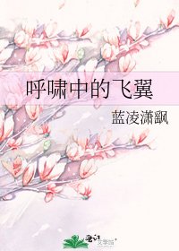 《呼啸中的飞翼》