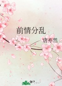 《前情分乱》