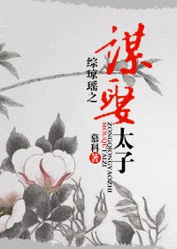 综琼瑶之谋娶太子